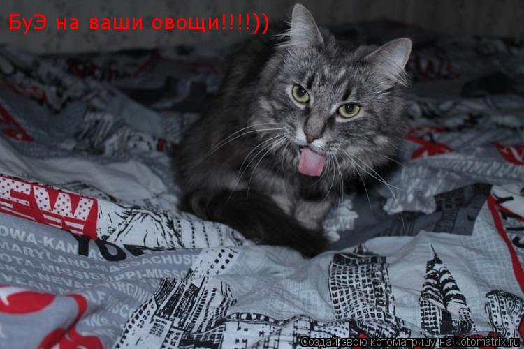 БуЭ на ваши овощи!!!!))... Котоматрица: БуЭ на ваши овощи!!!!))