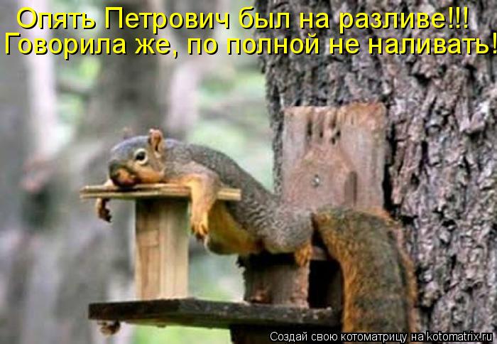 Опять Петрович был на разливе!!! Говорила же, по полной не наливать!... Котоматрица: Опять Петрович был на разливе!!! Говорила же, по полной не наливать!