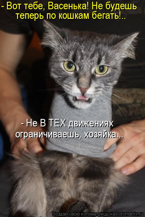 - Вот тебе, Васенька! Не будешь теперь по кошкам бегать!.. - Не В ТЕХ движениях ограничиваешь, хозяй... Котоматрица: - Вот тебе, Васенька! Не будешь теперь по кошкам бегать!.. - Не В ТЕХ движениях ограничиваешь, хозяйка...
