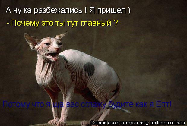 А ну ка разбежались ! Я пришел ) - Почему это ты тут главный ? Потому что я ща вас сглажу будите как ... Котоматрица: А ну ка разбежались ! Я пришел ) - Почему это ты тут главный ? Потому что я ща вас сглажу будите как я Епт!