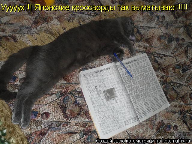 Ууууух!!! Японские кроссворды так выматывают!!!!... Котоматрица: Ууууух!!! Японские кроссворды так выматывают!!!!