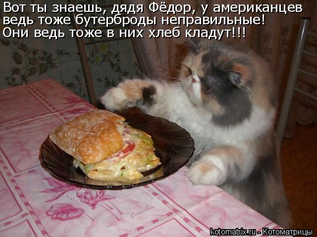 Вот ты знаешь, дядя Фёдор, у американцев ведь тоже бутерброды неправильные! Они ведь тоже в них хлеб ... Котоматрица: Вот ты знаешь, дядя Фёдор, у американцев ведь тоже бутерброды неправильные! Они ведь тоже в них хлеб кладут!!!