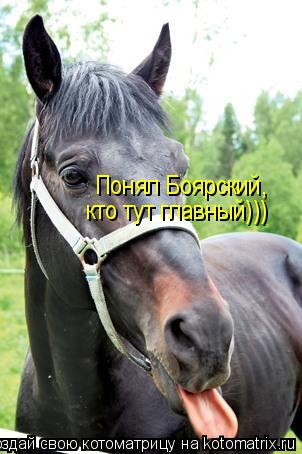 Эгегей!!!! Понял Боярский, кто тут главный)))... Котоматрица: Эгегей!!!! Понял Боярский, кто тут главный)))