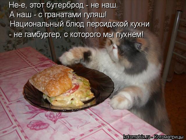 Не-е, этот бутерброд - не наш. А наш - с гранатами гуляш! Национальный блюд персидской кухни - не гам... Котоматрица: Не-е, этот бутерброд - не наш. А наш - с гранатами гуляш! Национальный блюд персидской кухни - не гамбургер, с которого мы пухнем!