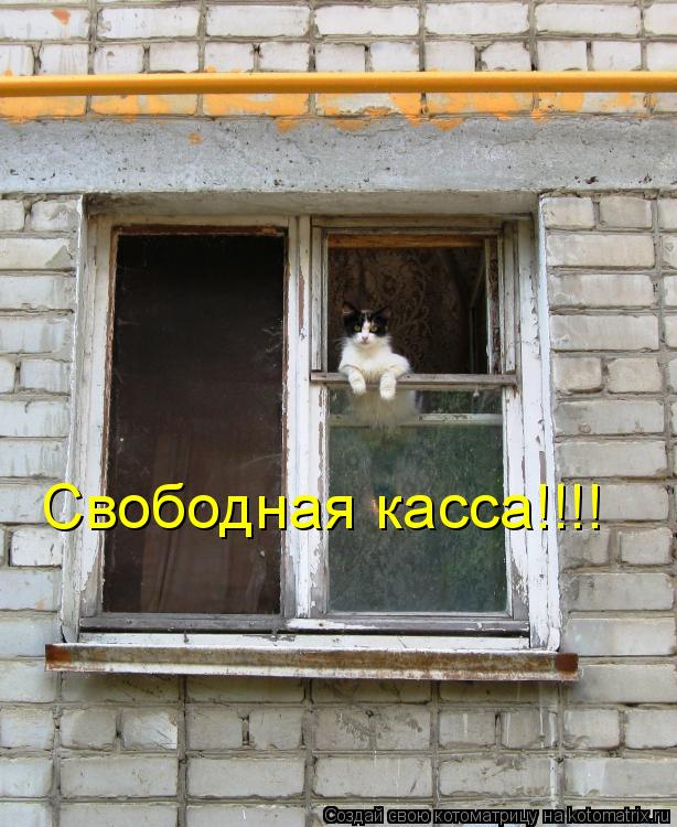 Свободная касса!!!!... Котоматрица: Свободная касса!!!!