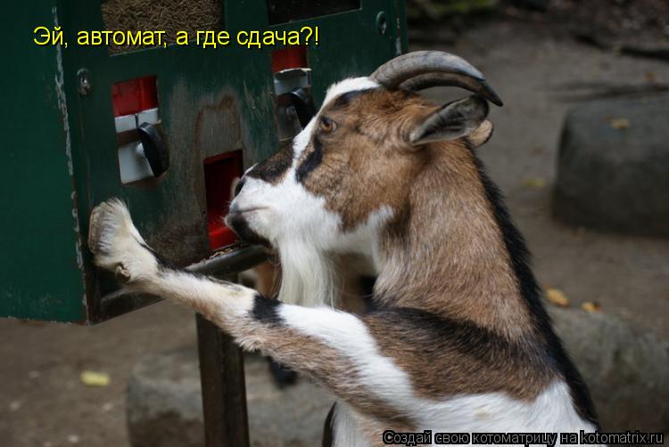 Эй, автомат, а где сдача?!... Котоматрица: Эй, автомат, а где сдача?!