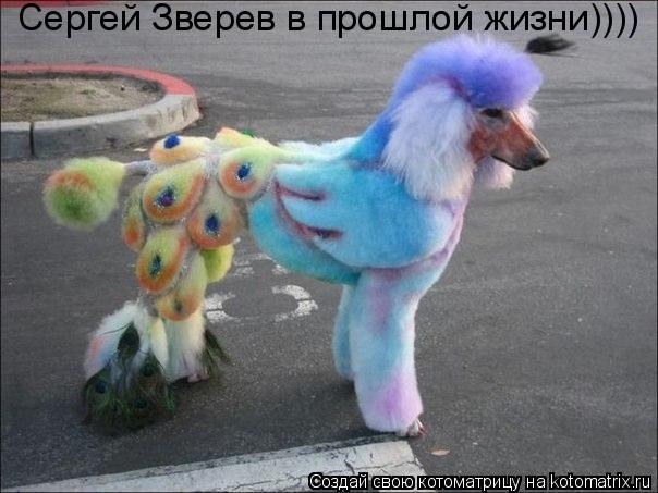 Сергей Зверев в прошлой жизни))))... Котоматрица: Сергей Зверев в прошлой жизни))))
