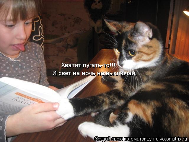Хватит пугать-то!!! И свет на ночь не выключай!... Котоматрица: Хватит пугать-то!!! И свет на ночь не выключай!