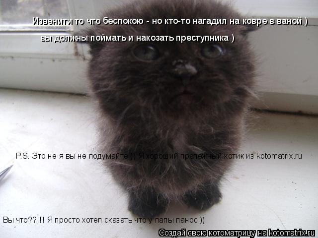 Извенити то что беспокою - но кто-то нагадил на ковре в ваной ) вы должны поймать и накозать преступн... Котоматрица: Извенити то что беспокою - но кто-то нагадил на ковре в ваной ) вы должны поймать и накозать преступника ) P.S. Это не я вы не подумайте )) Я хорош