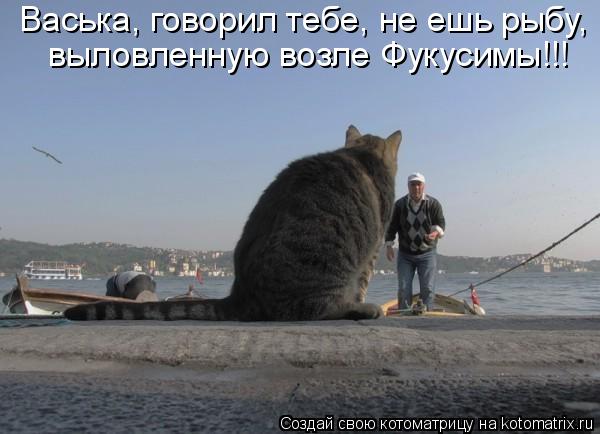 Васька, говорил тебе, не ешь рыбу, выловленную возле Фукусимы!!!... Котоматрица: Васька, говорил тебе, не ешь рыбу, выловленную возле Фукусимы!!!