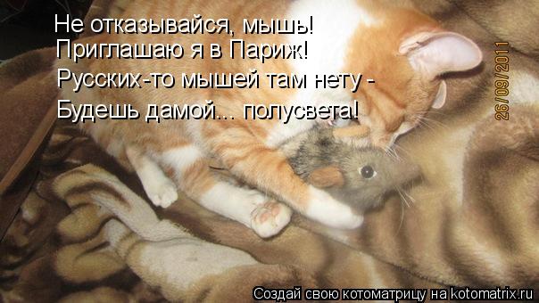Не отказывайся, мышь! Приглашаю я в Париж! Русских-то мышей там нету - Будешь дамой... полусвета!... Котоматрица: Не отказывайся, мышь! Приглашаю я в Париж! Русских-то мышей там нету - Будешь дамой... полусвета!