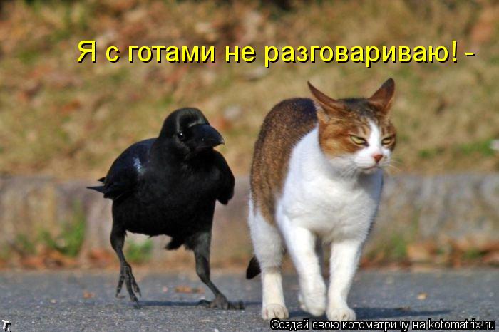 Я с готами не разговариваю! -... Котоматрица: Я с готами не разговариваю! -