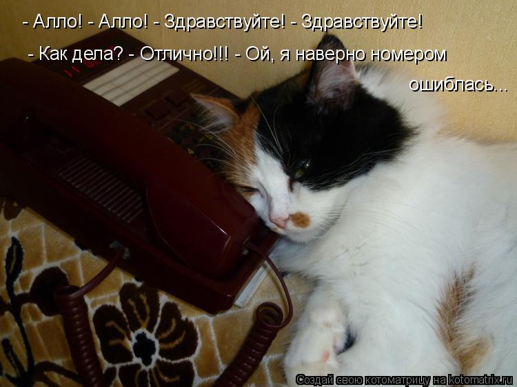 ошиблась... - Алло! - Алло! - Здравствуйте! - Здравствуйте! - Как дела? - Отлично!!! - Ой, я наверн... Котоматрица: ошиблась... - Алло! - Алло! - Здравствуйте! - Здравствуйте! - Как дела? - Отлично!!! - Ой, я наверно номером