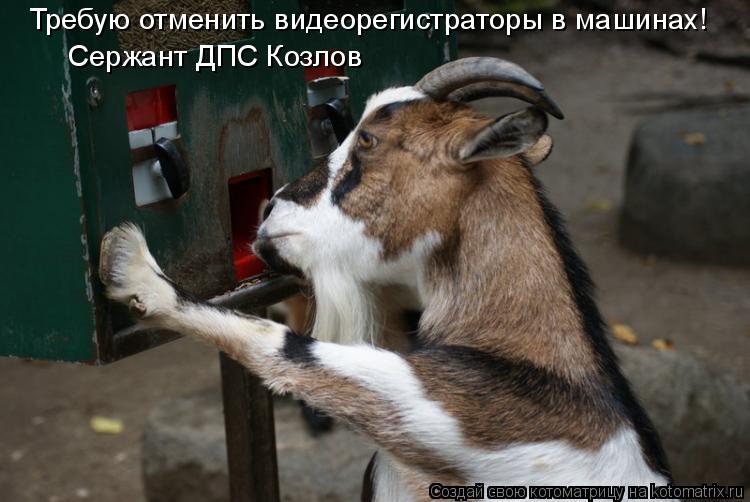 Требую отменить видеорегистраторы в машинах! Сержант ДПС Козлов... Котоматрица: Требую отменить видеорегистраторы в машинах! Сержант ДПС Козлов