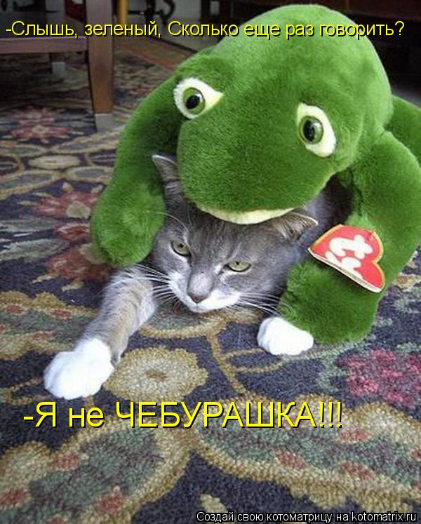 -Слышь, зеленый, Сколько еще раз говорить? -Я не ЧЕБУРАШКА!!!... Котоматрица: -Слышь, зеленый, Сколько еще раз говорить? -Я не ЧЕБУРАШКА!!!