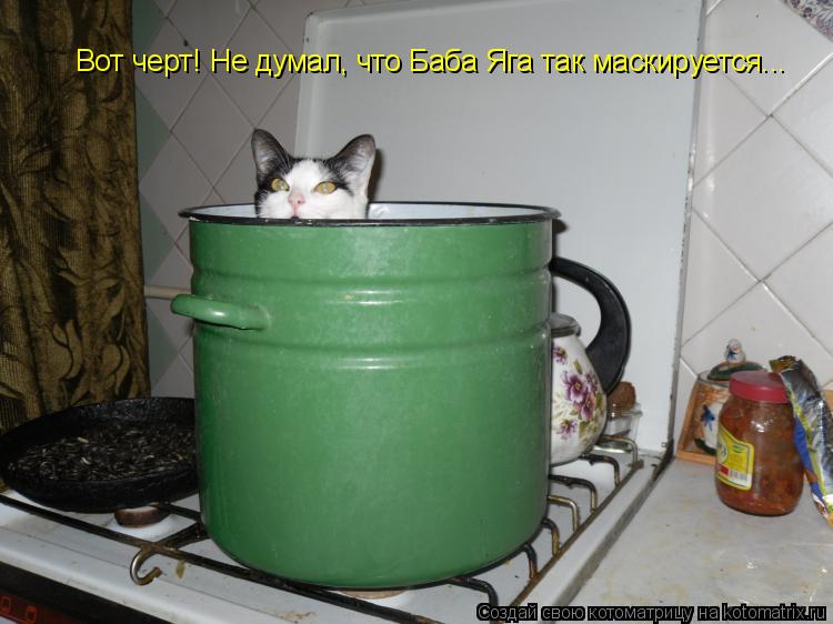 Вот черт! Не думал, что Баба Яга так маскируется...... Котоматрица: Вот черт! Не думал, что Баба Яга так маскируется...