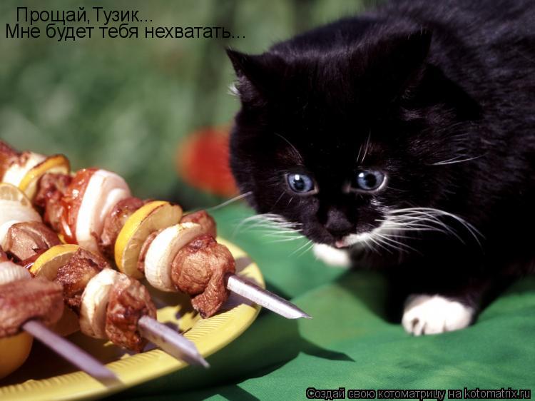 Прощай,Тузик... Мне будет тебя нехватать...... Котоматрица: Прощай,Тузик... Мне будет тебя нехватать...