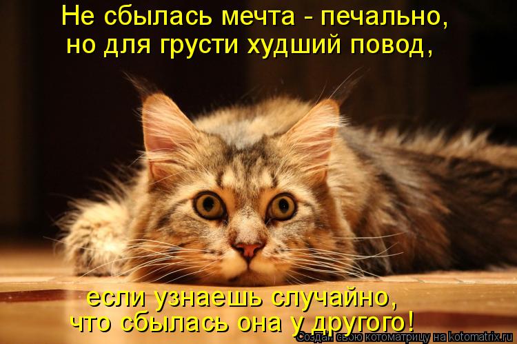 Не сбылась мечта - печально, но для грусти худший повод, что сбылась она у другого! если узнаешь случ... Котоматрица: Не сбылась мечта - печально, но для грусти худший повод, что сбылась она у другого! если узнаешь случайно,