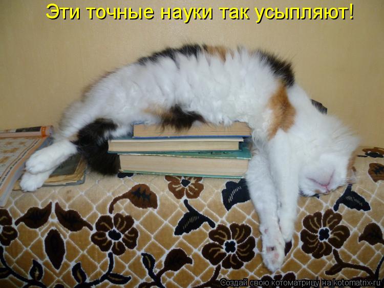 Эти точные науки так усыпляют!... Котоматрица: Эти точные науки так усыпляют!