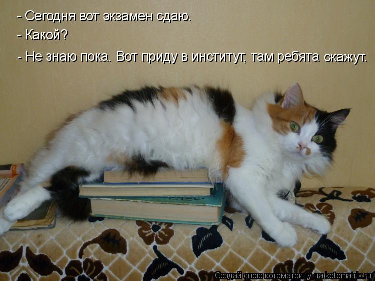 - Сегодня вот экзамен сдаю. - Какой? - Не знаю пока. Вот приду в институт, там ребята скажут.... Котоматрица: - Сегодня вот экзамен сдаю. - Какой? - Не знаю пока. Вот приду в институт, там ребята скажут.