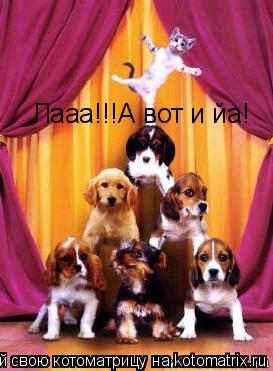 Лааа!!!А вот и йа!... Котоматрица: Лааа!!!А вот и йа!