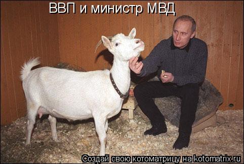 ВВП и министр МВД... Котоматрица: ВВП и министр МВД
