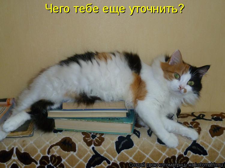 Чего тебе еще уточнить?... Котоматрица: Чего тебе еще уточнить?