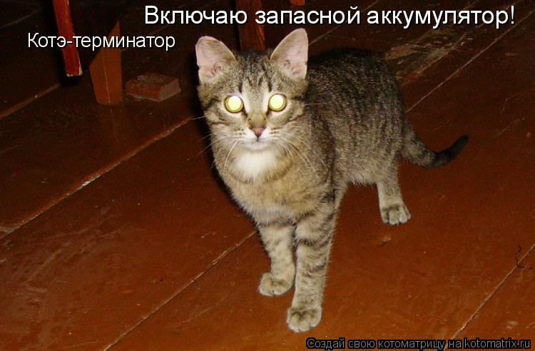Котэ-терминатор Котэ-терминатор Включаю запасной аккумулятор!... Котоматрица: Котэ-терминатор Котэ-терминатор Включаю запасной аккумулятор!