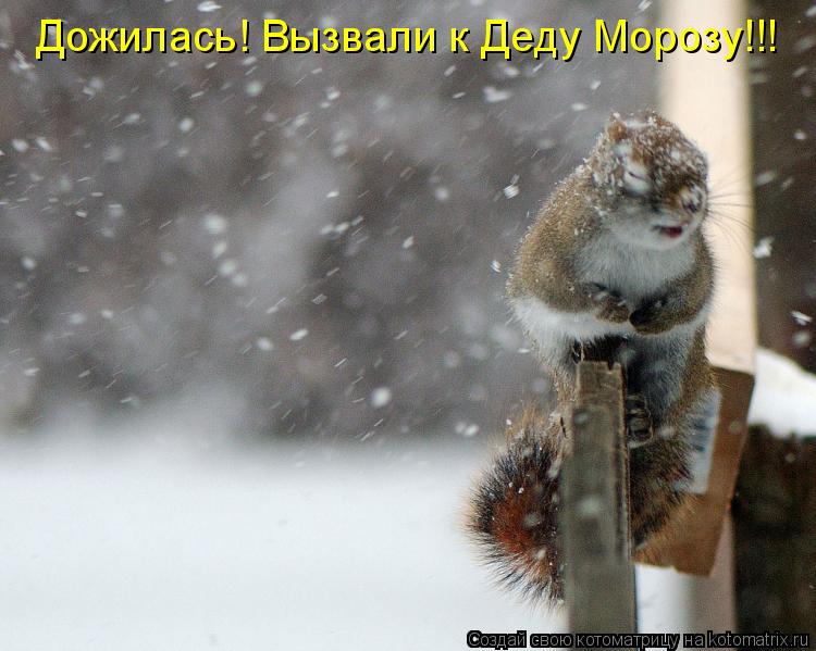 Дожилась! Вызвали к Деду Морозу!!!... Котоматрица: Дожилась! Вызвали к Деду Морозу!!!