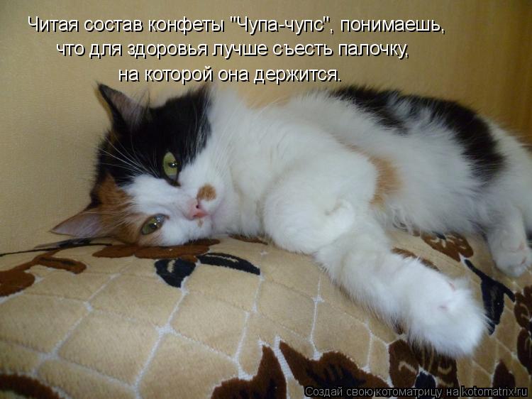 Читая состав конфеты "Чупа-чупс", понимаешь, что для здоровья лучше съесть палочку, на которой она д... Котоматрица: Читая состав конфеты "Чупа-чупс", понимаешь, что для здоровья лучше съесть палочку, на которой она держится.