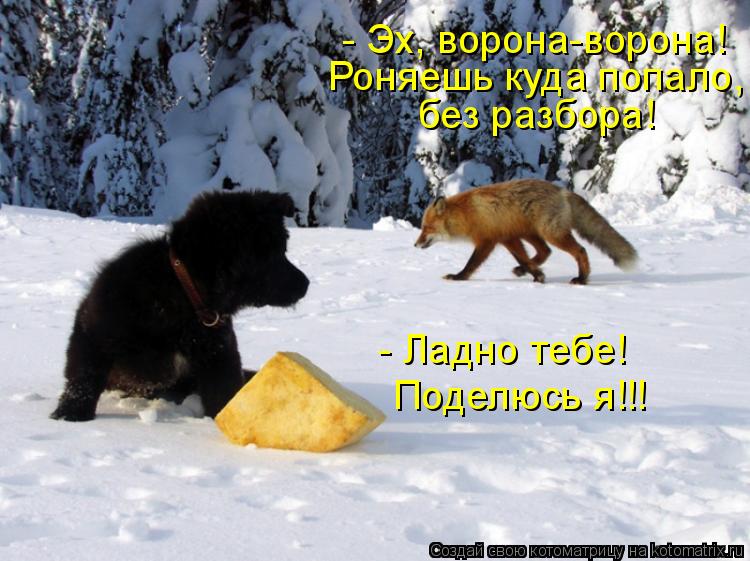 - Эх, ворона-ворона! Роняешь куда попало, без разбора! - Ладно тебе! Поделюсь я!!!... Котоматрица: - Эх, ворона-ворона! Роняешь куда попало, без разбора! - Ладно тебе! Поделюсь я!!!