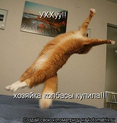 УХХуу!! хозяйка колбасы купила!!!... Котоматрица: УХХуу!! хозяйка колбасы купила!!!