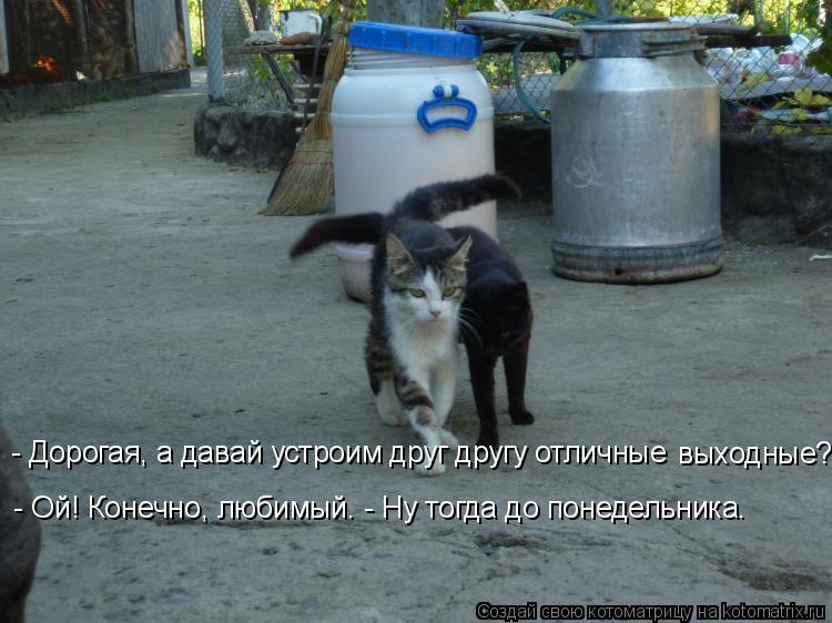 - Дорогая, а давай устроим друг другу отличные выходные? - Ой! Конечно, любимый. - Ну тогда до по... Котоматрица: - Дорогая, а давай устроим друг другу отличные выходные? - Ой! Конечно, любимый. - Ну тогда до понедельника.