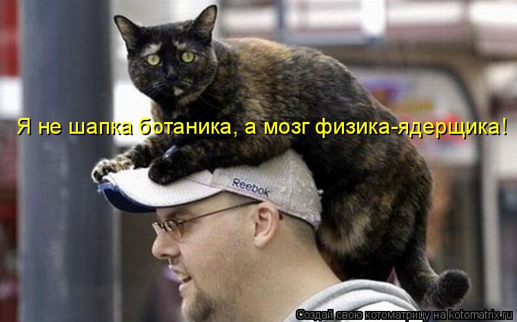 Я не шапка ботаника, а мозг физика-ядерщика!... Котоматрица: Я не шапка ботаника, а мозг физика-ядерщика!