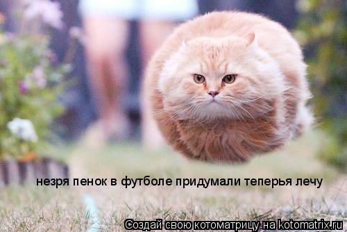 незря пенок в футболе придумали теперья лечу... Котоматрица: незря пенок в футболе придумали теперья лечу
