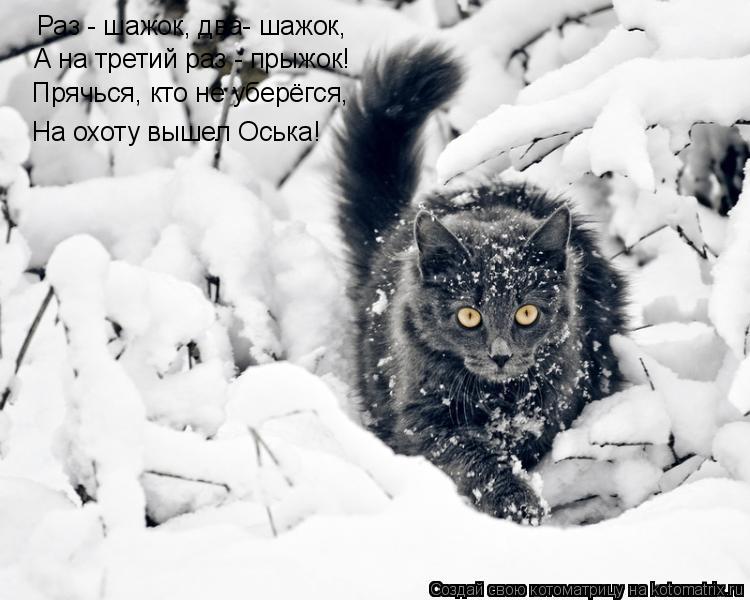 Раз - шажок, два- шажок, А на третий раз - прыжок! Прячься, кто не уберёгся, На охоту вышел Оська!... Котоматрица: Раз - шажок, два- шажок, А на третий раз - прыжок! Прячься, кто не уберёгся, На охоту вышел Оська!