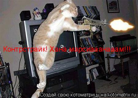 Контрстрайк! Хана марсиааанааам!!!... Котоматрица: Контрстрайк! Хана марсиааанааам!!!