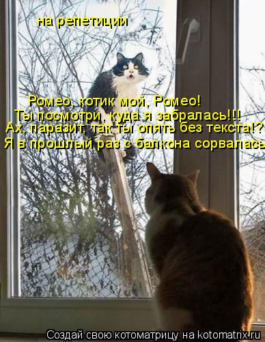 Ромео, котик мой, Ромео! Ты посмотри, куда я забралась!!! Ах, паразит, так ты опять без текста!? Я в ... Котоматрица: Ромео, котик мой, Ромео! Ты посмотри, куда я забралась!!! Ах, паразит, так ты опять без текста!? Я в прошлый раз с балкона сорвалась! на репетици