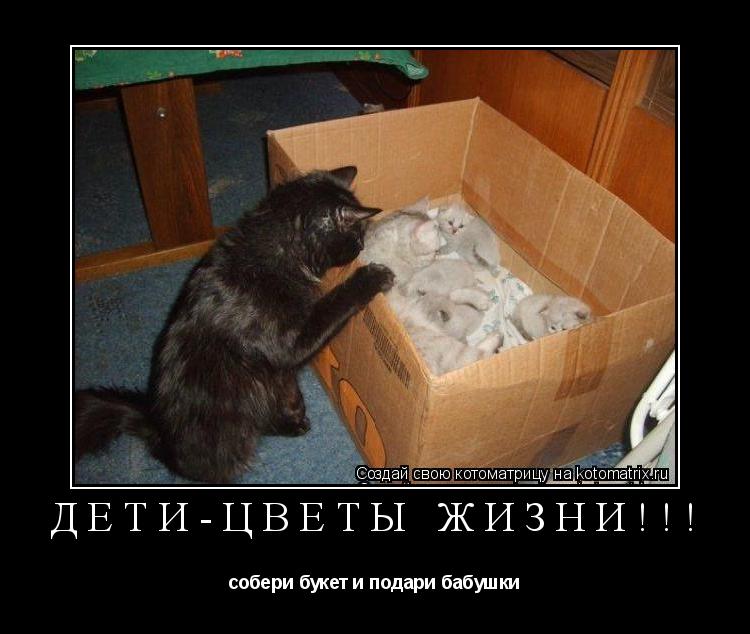 дети-Цветы жизни!!! собери букет и подари бабушки... Котоматрица: дети-Цветы жизни!!! собери букет и подари бабушки