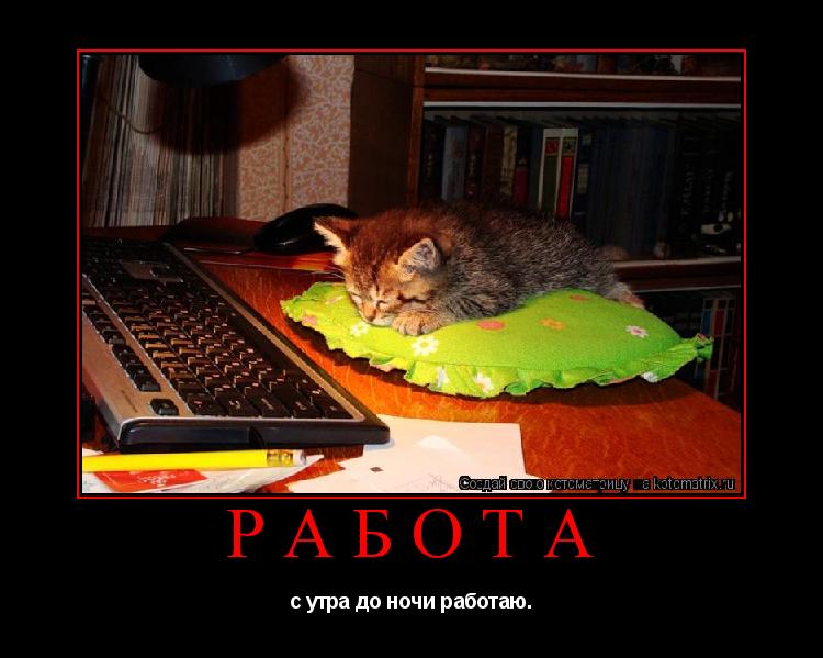 РАБОТА с утра до ночи работаю.... Котоматрица: РАБОТА с утра до ночи работаю.