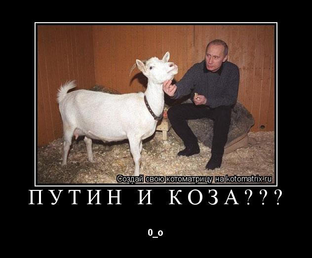 Путин и коза??? 0_о... Котоматрица: Путин и коза??? 0_о