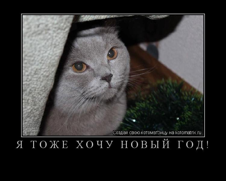 Я тоже хочу Новый год! ... Котоматрица: Я тоже хочу Новый год!