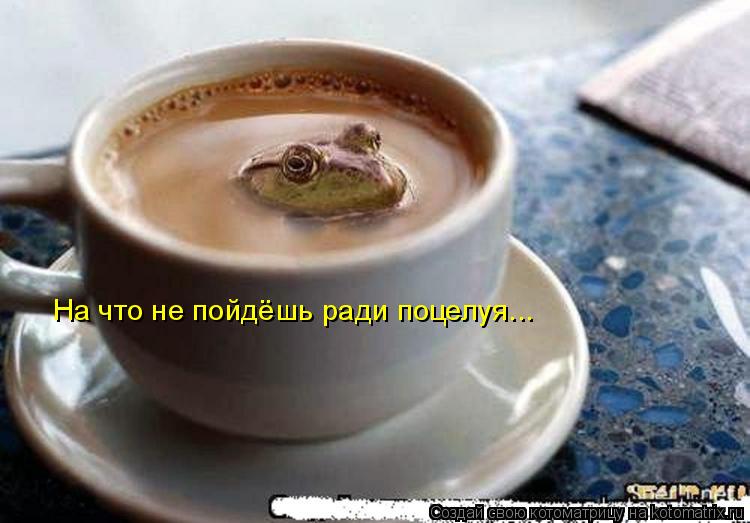 На что не пойдёшь ради поцелуя...... Котоматрица: На что не пойдёшь ради поцелуя...