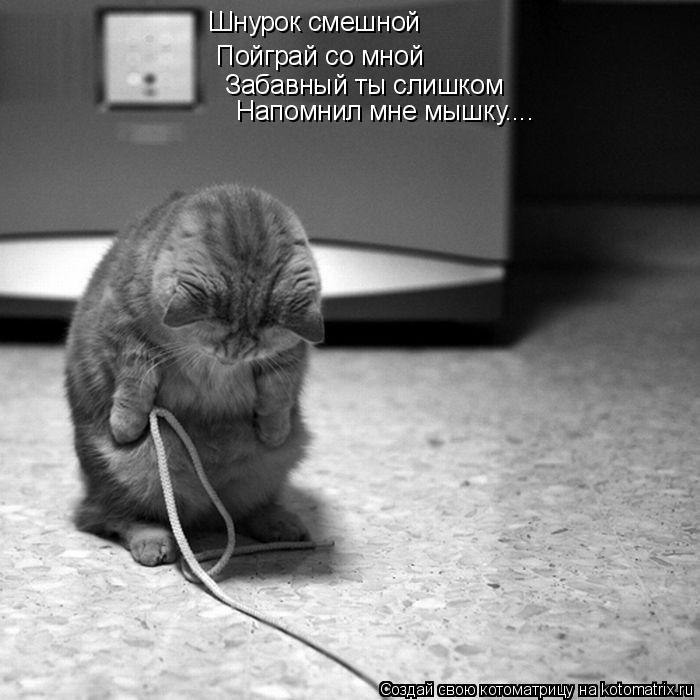 Шнурок смешной Пойграй со мной Забавный ты слишком Напомнил мне мышку....... Котоматрица: Шнурок смешной Пойграй со мной Забавный ты слишком Напомнил мне мышку....