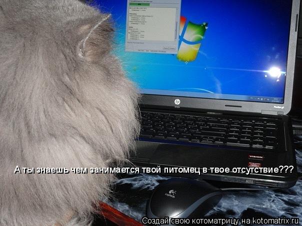 А ты знаешь чем занимается твой питомец в твое отсутствие???... Котоматрица: А ты знаешь чем занимается твой питомец в твое отсутствие???
