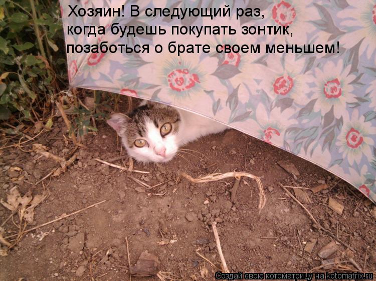 Хозяин! В следующий раз, когда будешь покупать зонтик, позаботься о брате своем меньшем!... Котоматрица: Хозяин! В следующий раз, когда будешь покупать зонтик, позаботься о брате своем меньшем!