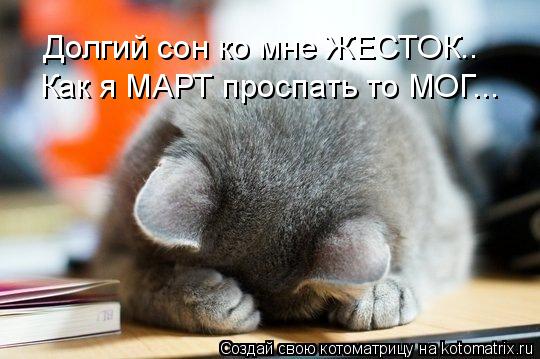 Как я МАРТ проспать то МОГ... Долгий сон ко мне ЖЕСТОК..... Котоматрица: Как я МАРТ проспать то МОГ... Долгий сон ко мне ЖЕСТОК..