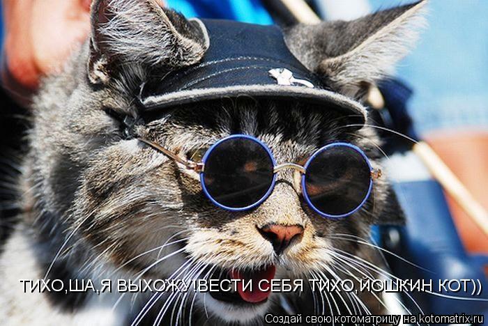 ТИХО,ША,Я ВЫХОЖУ!ВЕСТИ СЕБЯ ТИХО,ЙОШКИН КОТ))... Котоматрица: ТИХО,ША,Я ВЫХОЖУ!ВЕСТИ СЕБЯ ТИХО,ЙОШКИН КОТ))