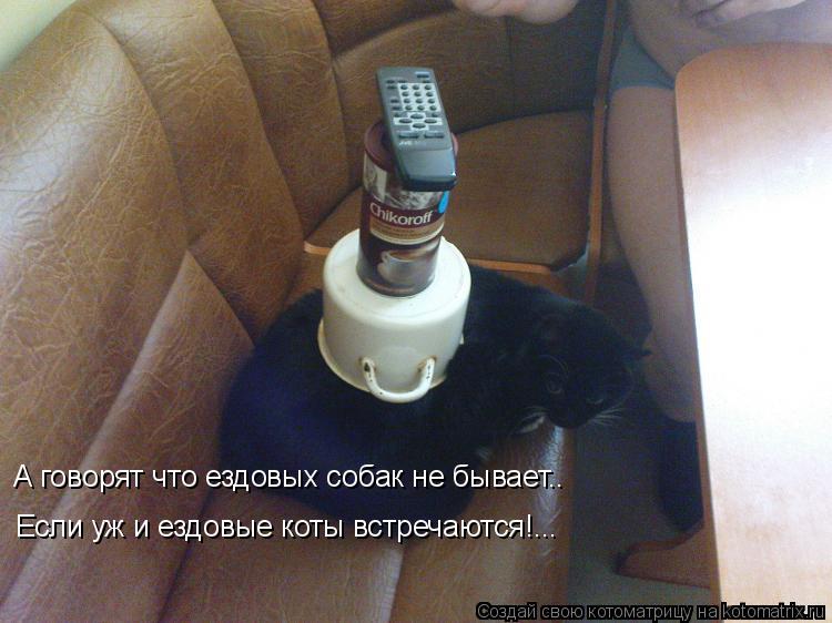 А говорят что ездовых собак не бывает.. Если уж и ездовые коты встречаются!...... Котоматрица: А говорят что ездовых собак не бывает.. Если уж и ездовые коты встречаются!...