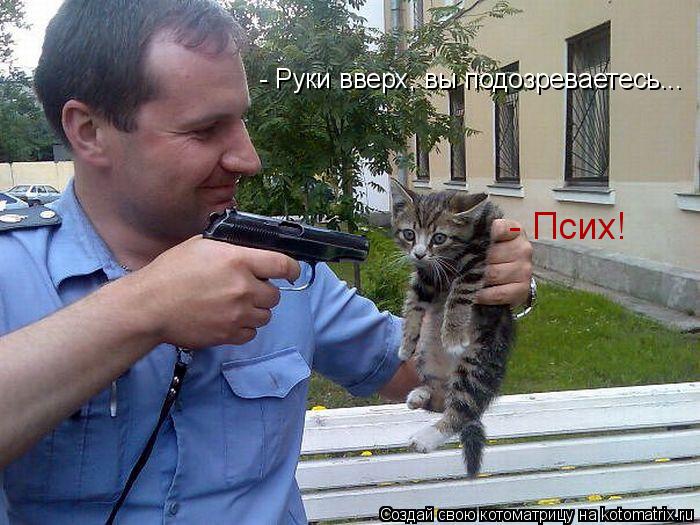 - Псих! - Руки вверх, вы подозреваетесь...... Котоматрица: - Псих! - Руки вверх, вы подозреваетесь...